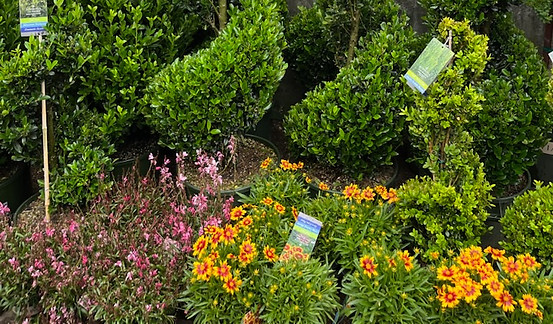 Landscaped Brooklyn garden