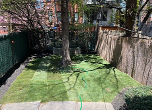 Lawn Care & Maintenance