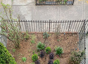 Landscaping & Design