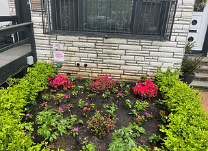 Sod & Plant Installation
