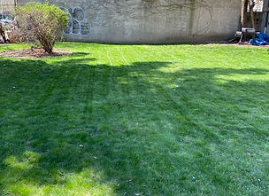 Total Property Maintenance
