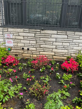 Landscaping project in Brooklyn