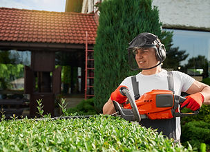 Lawn Care & Maintenance