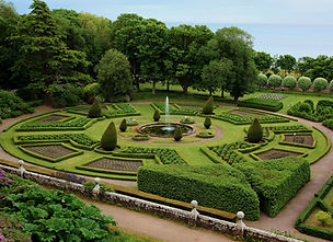 Tree, Shrub & Bush Services