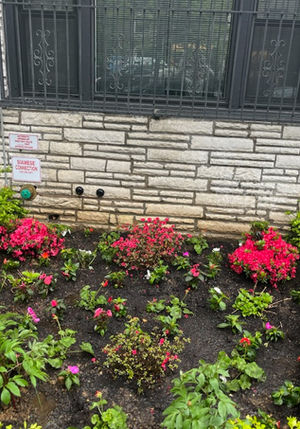 G&C Landscaping project