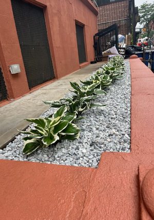 G&C Landscaping project