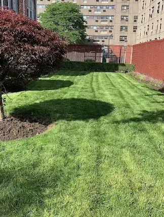 G&C Landscaping project