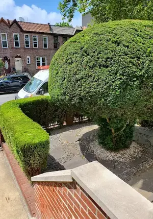 G&C Landscaping project