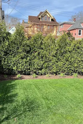 G&C Landscaping project