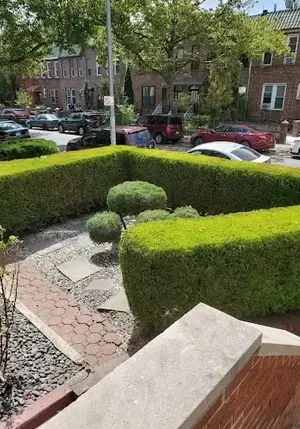 G&C Landscaping project