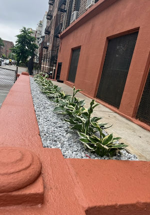 G&C Landscaping project