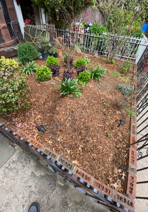 G&C Landscaping project