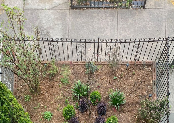 G&C Landscaping project