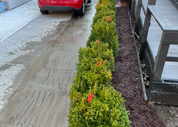 G&C Landscaping project