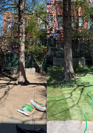 G&C Landscaping project