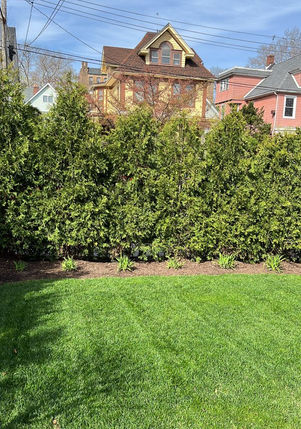 G&C Landscaping project