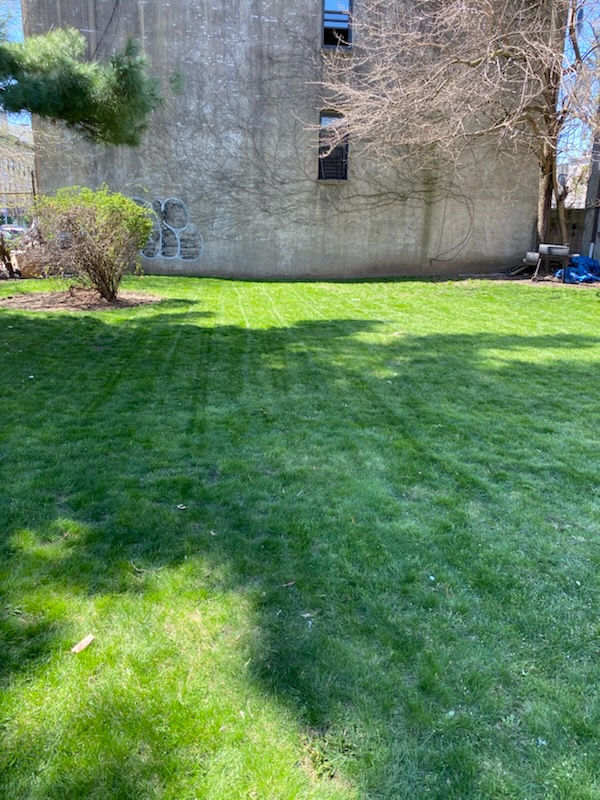 G&C Landscaping project